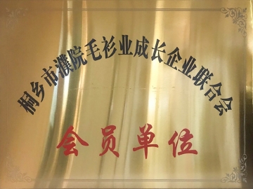 证书及荣誉-(6)